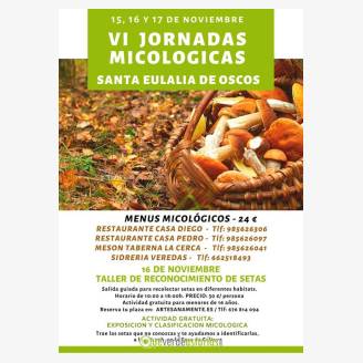 VI Jornadas Micolgicas 2019 en Santa Eulalia de Oscos