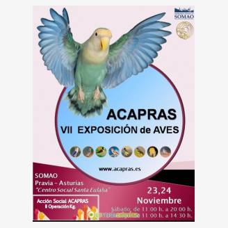 VII Exposicin de Aves - ACAPRAS