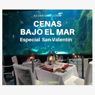 Cena bajo el agua especial San Valentn 2020 en el Acuario de Gijn