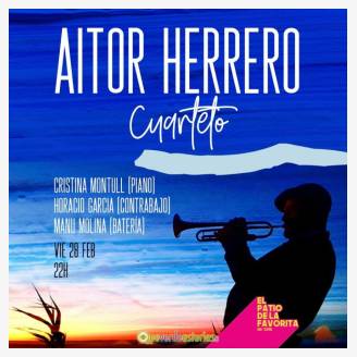 Aitor Herrero en concierto en El Patio de la Favorita