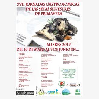 XVII Jornadas Gastronmicas de las Setas Silvestres de Primavera 2019 en Mieres
