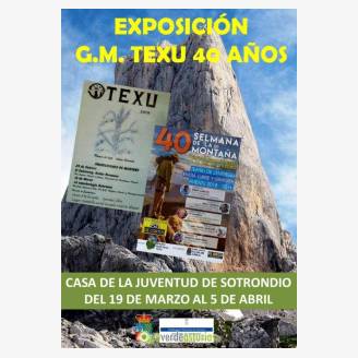 Exposicin: GM Texu 40 Aos