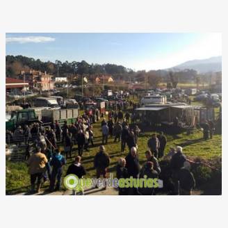 Feria ganadera de Santa Luca 2019 en Posada de Llanes