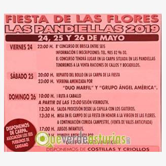 Fiesta de las Flores 2019 en Las Pandiellas