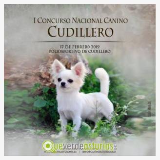 I Concurso Nacional Canino de Cudillero 2019