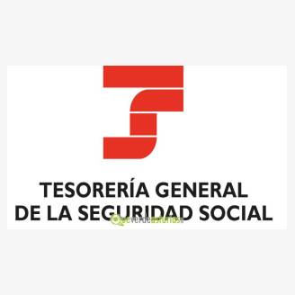 Competencias de la Tesorera General de la Seguridad Social