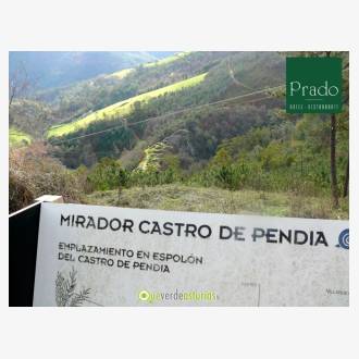 Castro de Pendia